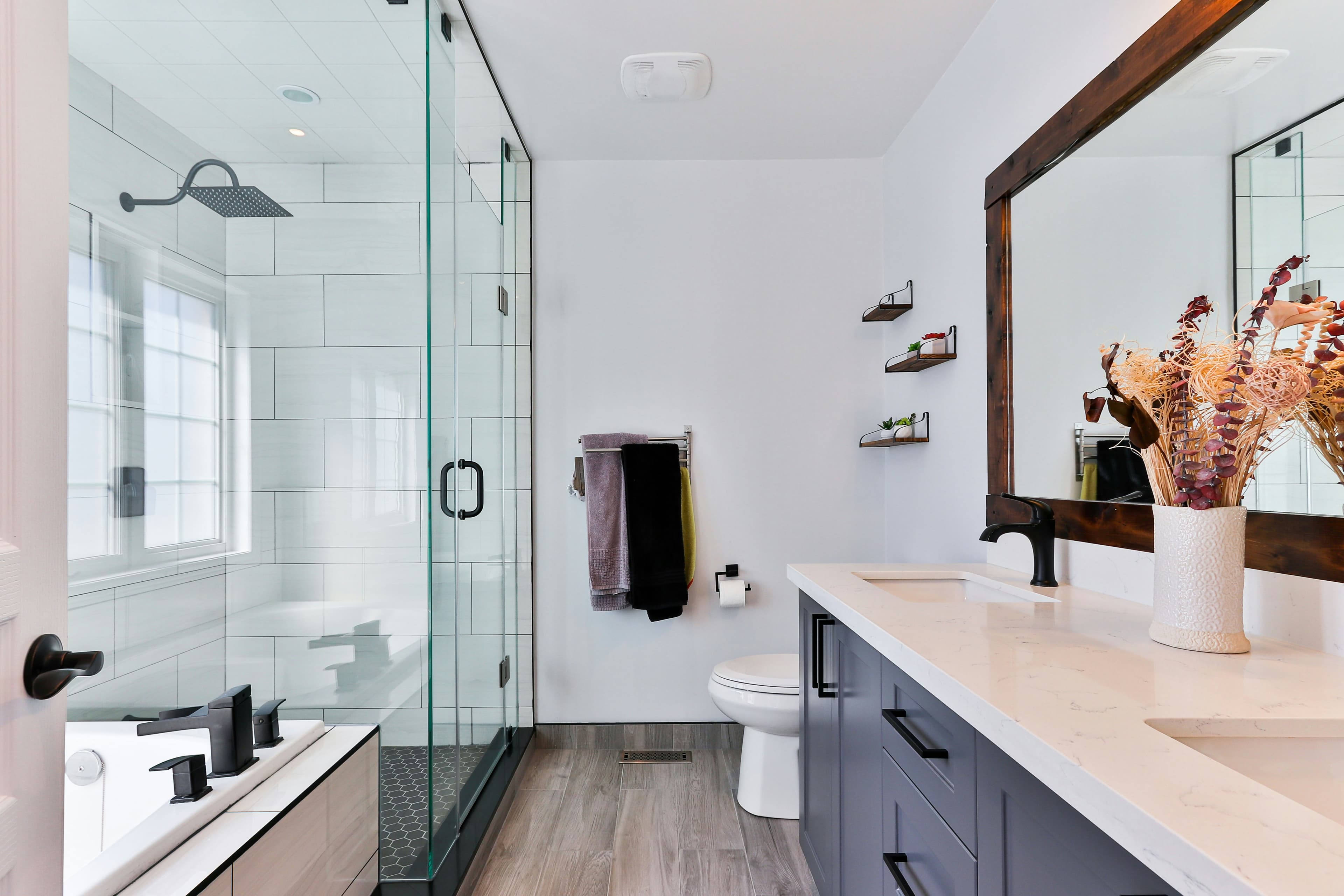 Professional home cleaning